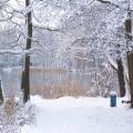 Winterblick aus Senzig (tn_100_4088.jpg) Zeesner See im Landkreis Dahme Spreewald